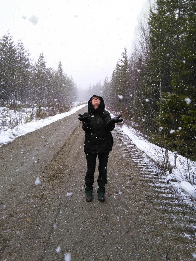 Gafsele Lappland Hostel Vaster Gafsele Luaran gambar