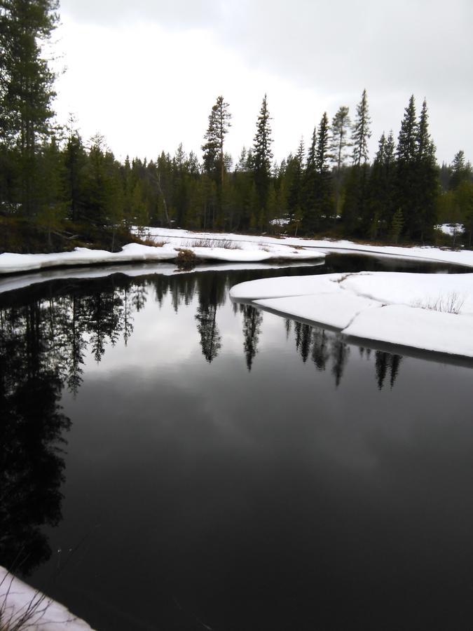 Gafsele Lappland Hostel Vaster Gafsele Luaran gambar
