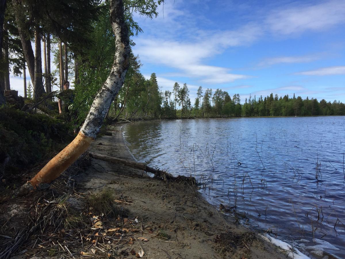 Gafsele Lappland Hostel Vaster Gafsele Luaran gambar